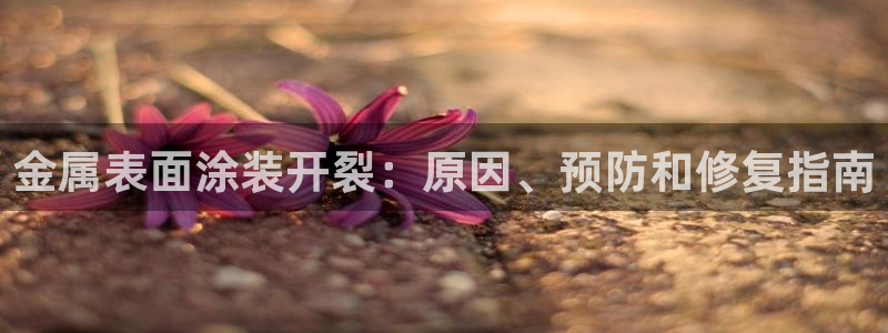 美高梅至尊卡级别