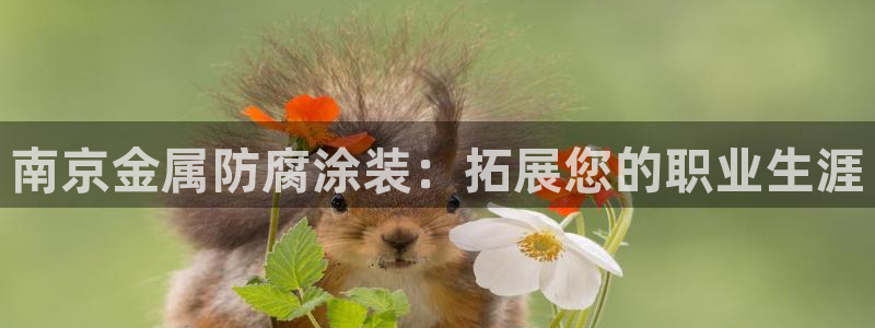 美高梅是做什么的?