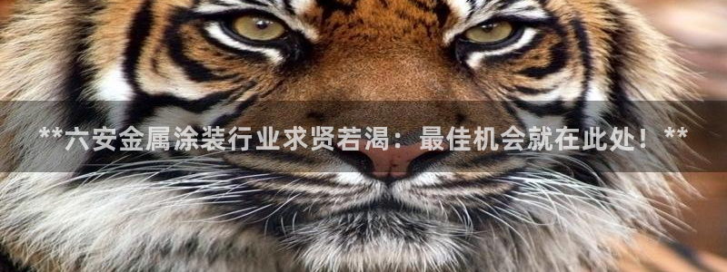 美高梅筹码最低多少钱一个