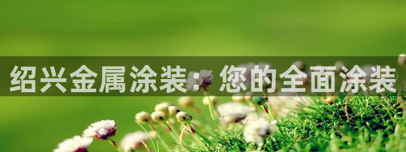 美高梅酒店的星级介绍