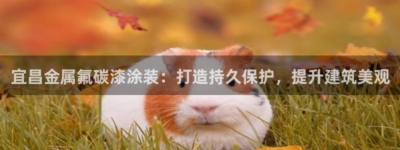 鲁能钓鱼台美高梅公馆户型图