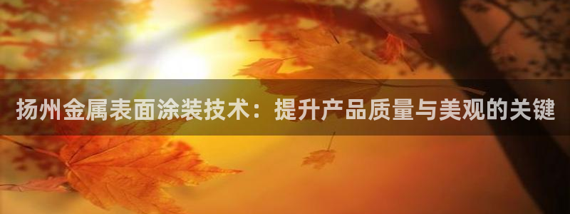 美高梅会员卡图片