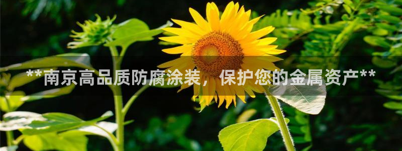 美高梅股票中国毛利率