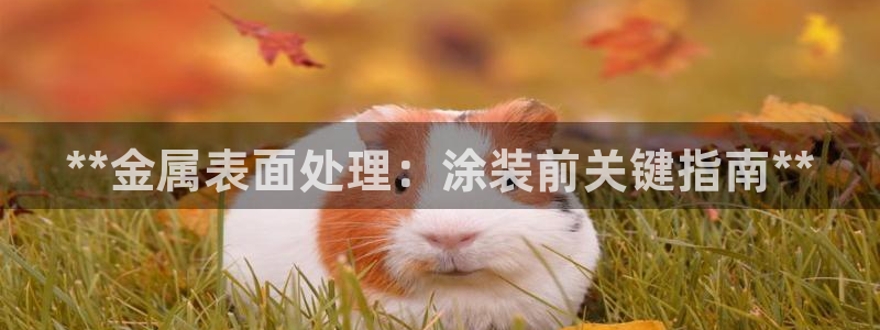 美高梅会员卡要充值吗