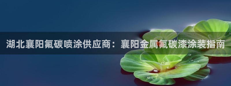 美高梅酒店会员卡
