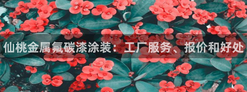 美高梅品牌