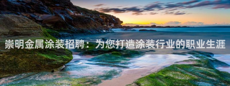 美高梅全球几家