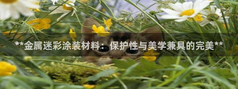 美高梅平台钱取不出来