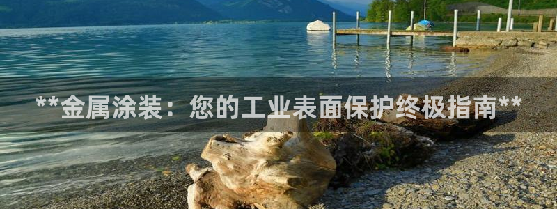 美狮美高梅酒店购物