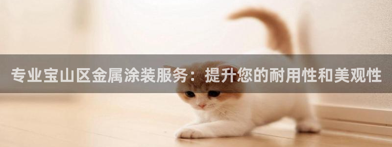 美高梅股票中国净资产多少
