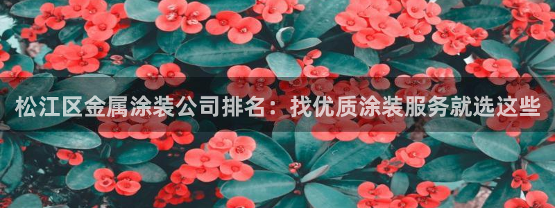 美高梅酒店自助餐年卡