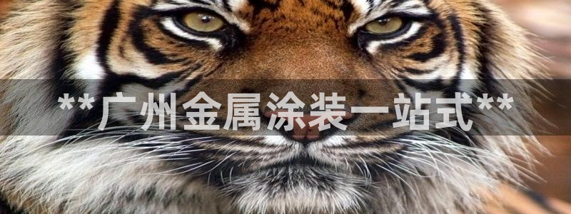 美高梅在哪