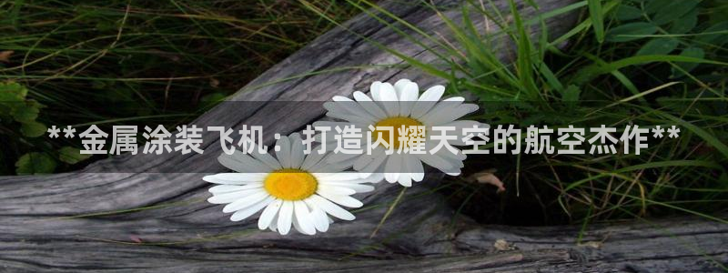 美狮美高梅穿梭巴士时刻表
