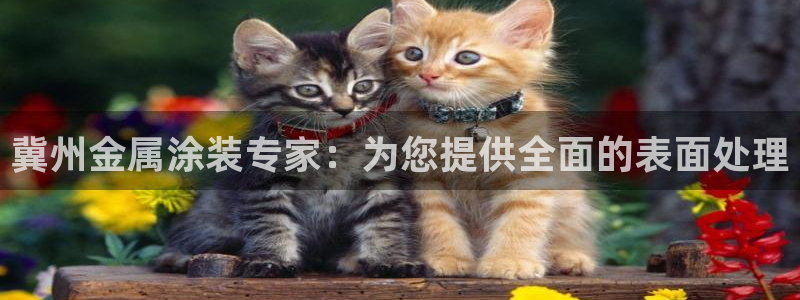 美高梅酒店吉祥物