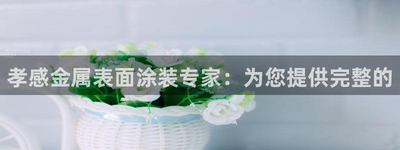 美高梅酒店百度百科