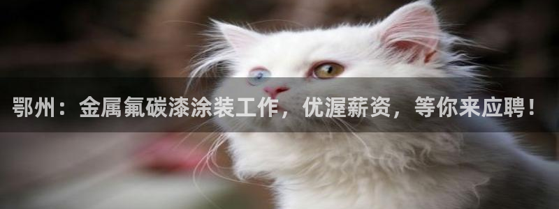 美高梅衣服外套
