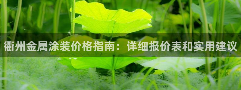 美高梅狮王会员卡