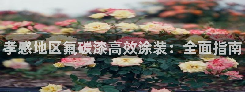 美高梅公司