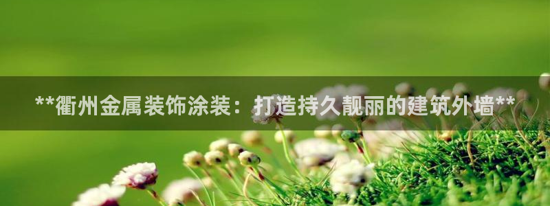 美高梅有限公司