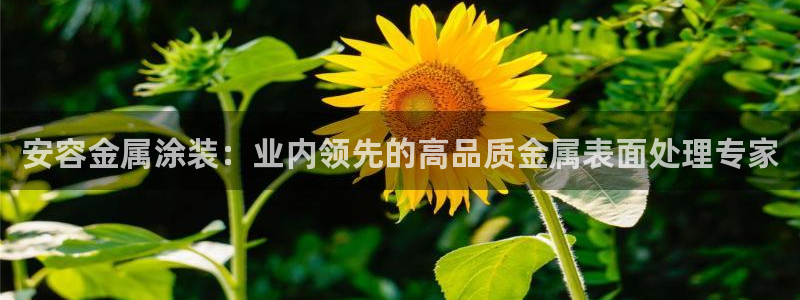 美高梅别墅价格