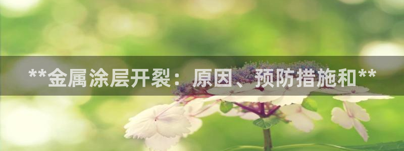 美高梅飞鱼表演