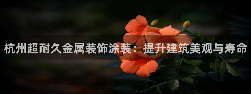 美高梅国际集团简介
