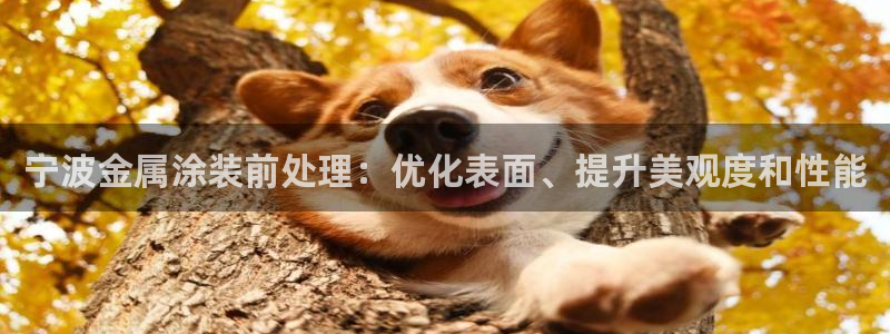 美高梅贵宾厅有哪些
