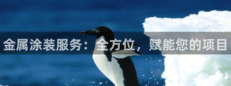 美高梅飞鱼表演时间