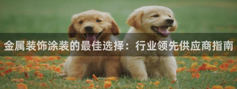 美高梅酒店可以带走的东西