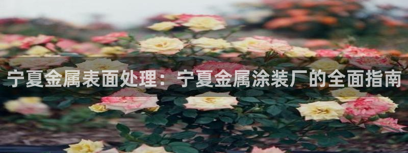 美高梅的来历