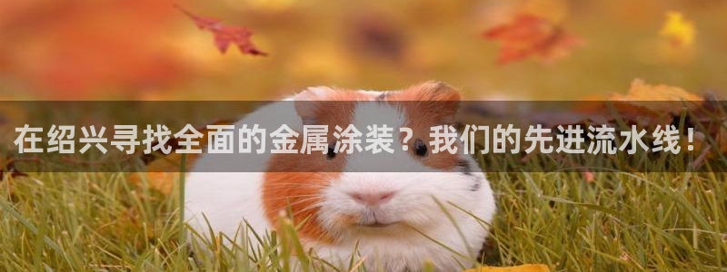 美高梅何超琼香港女首富