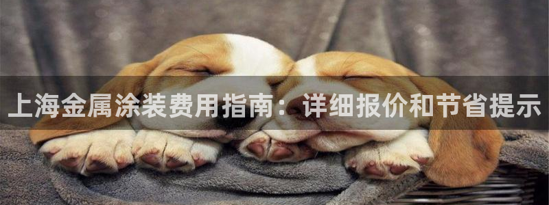 美高梅属于什么档次的品牌