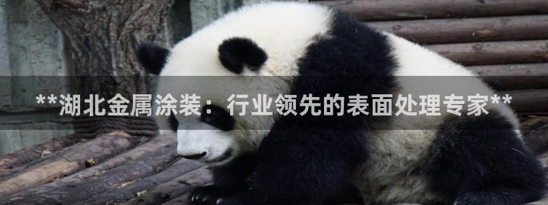 何超琼投资美高梅