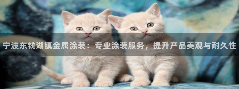 美高梅会员卡多少积分才能有狮王卡
