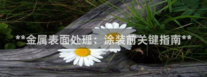 美高梅儿童乐园