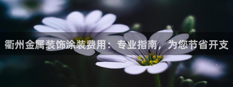 美高梅酒店认养的大熊猫
