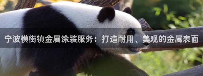 美高梅大酒店是那个