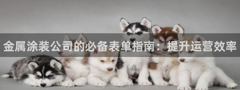 美高梅股票股价