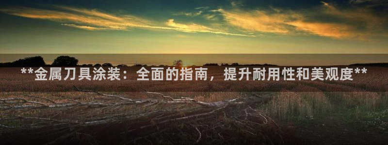 美高梅酒店可以赶海吗
