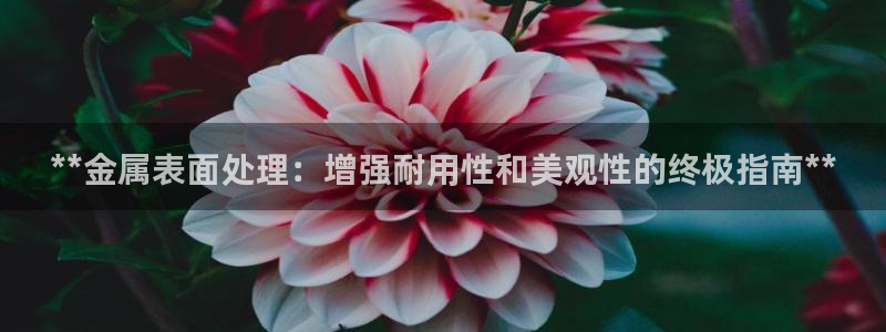 美高梅开业时间