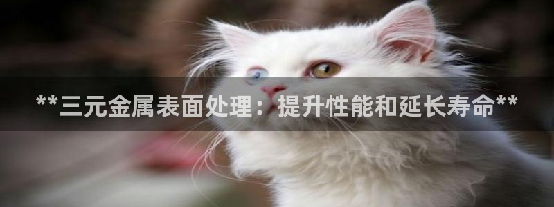 美高梅游戏官网app可以玩吗安全吗