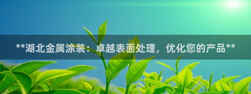 美高梅国际集团简介