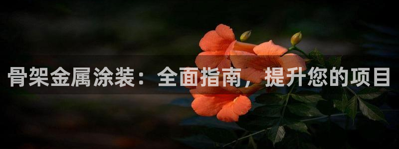 中国美高梅酒店有几家
