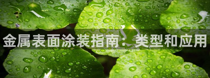 美高梅酒店集团的创始人