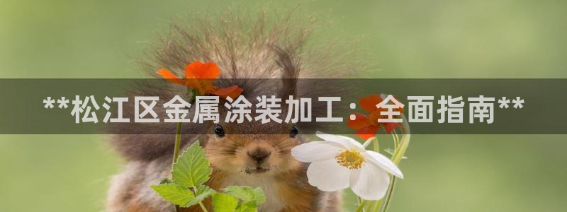 美狮美高梅酒店股东