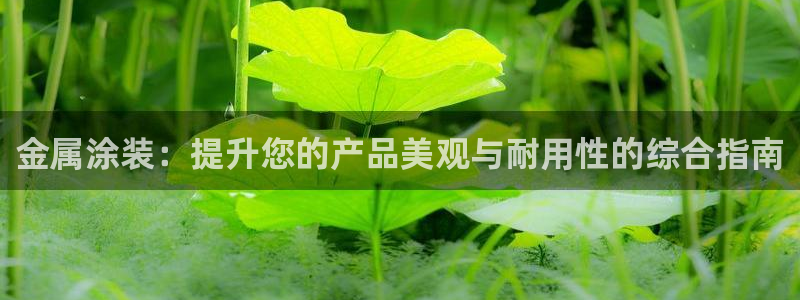 美高梅会员卡等级有效期多久啊
