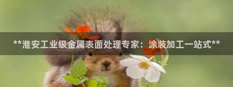 美高梅金卡是什么