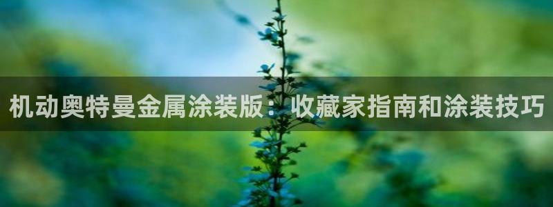 美高梅酒店品牌之夜