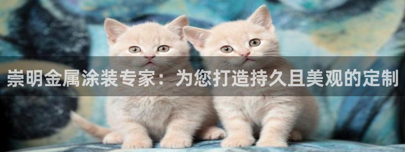 美国美高梅集团市值