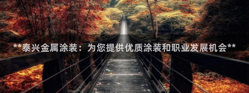 美高梅年收入